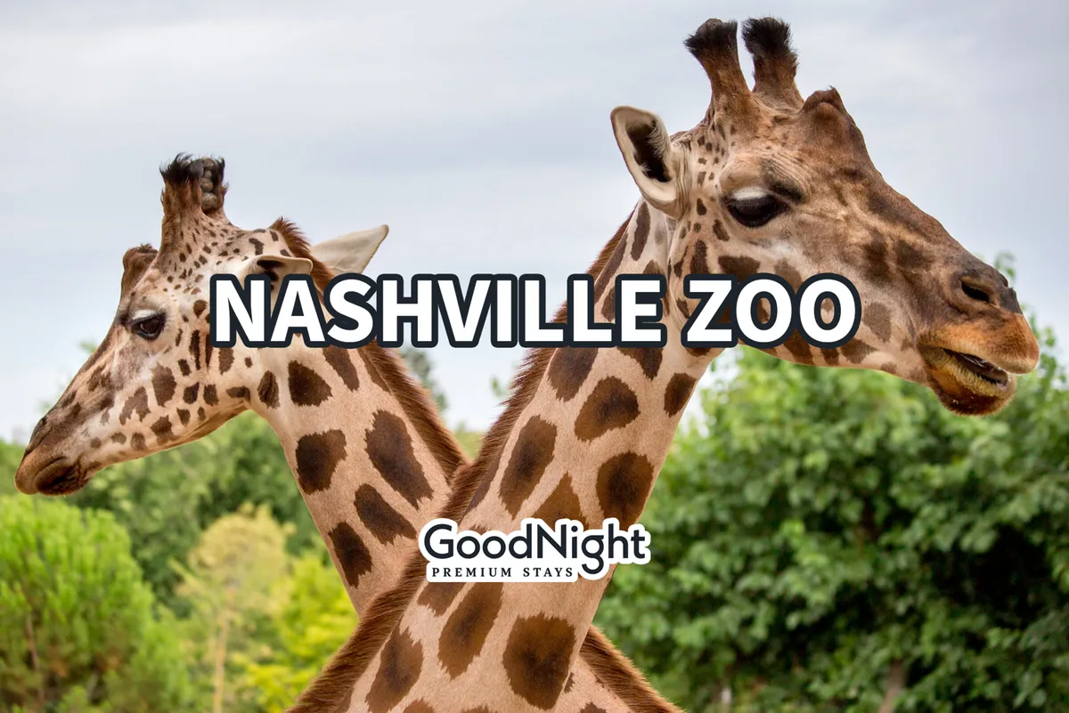 This exterior image features playful giraffes surrounded by lush greenery, with families visibly engaged in wildlife observation and educational tours. The scene is vibrant and inviting, capturing the excitement and family-friendly atmosphere of the Nashville Zoo.